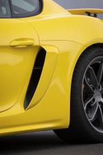 Porsche 718 Cayman GT4 2019 года (WW)